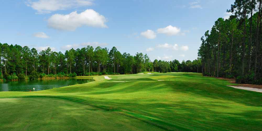 Golf Courses Around Tampa